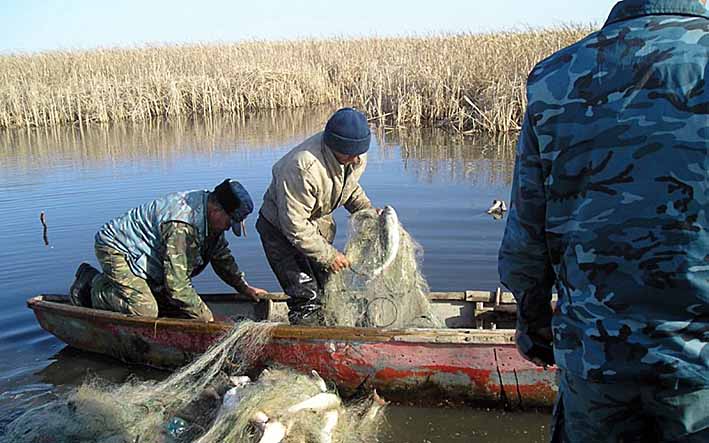 Рыбоохрана не дремлет