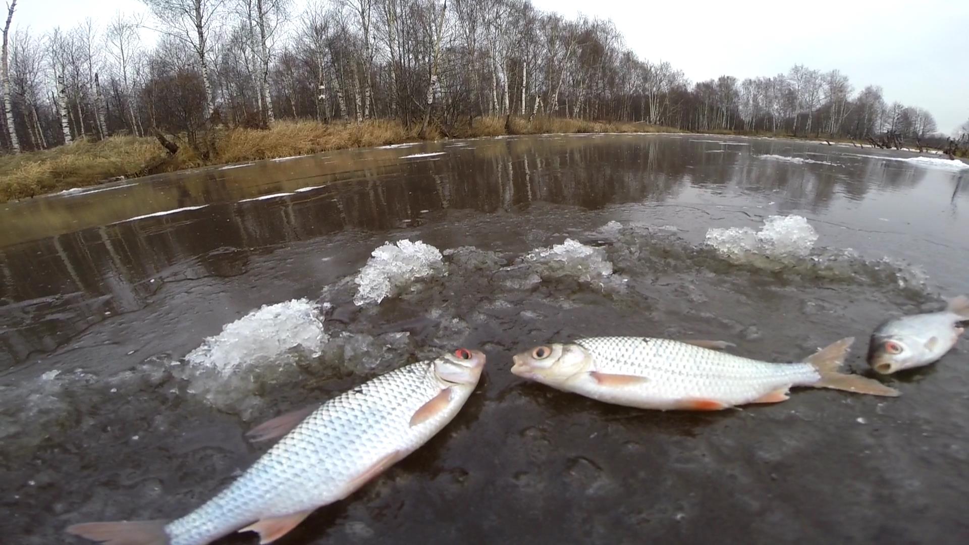 Рыбалка по первому льду