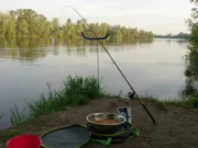 Фидер в августе Фидер в августе