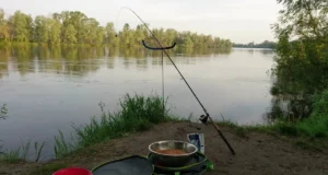 Фидер в августе Фидер в августе