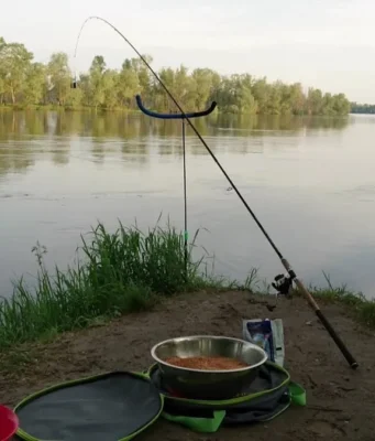 Фидер в августе Фидер в августе