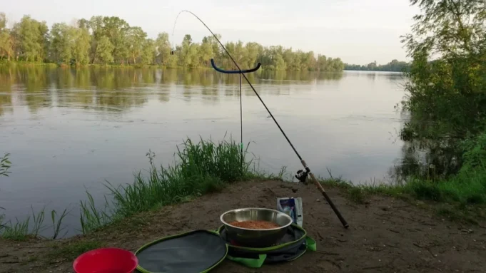 Фидер в августе Фидер в августе