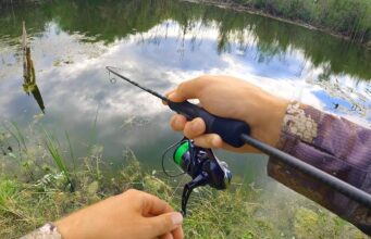 Как рыбачить спиннингом? Как рыбачить спиннингом?