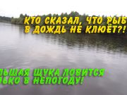 Кто сказал, что рыба в дождь не клюет? Большая щука ловится только в непогоду! Кто сказал, что рыба в дождь не клюет? Большая щука ловится только в непогоду!