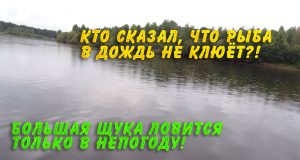 Кто сказал, что рыба в дождь не клюет? Большая щука ловится только в непогоду! Кто сказал, что рыба в дождь не клюет? Большая щука ловится только в непогоду!