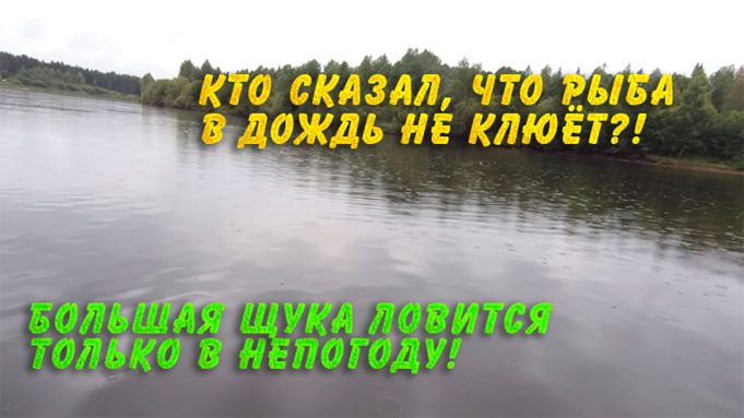 Кто сказал, что рыба в дождь не клюет? Большая щука ловится только в непогоду! Кто сказал, что рыба в дождь не клюет? Большая щука ловится только в непогоду!
