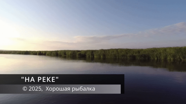 На реке