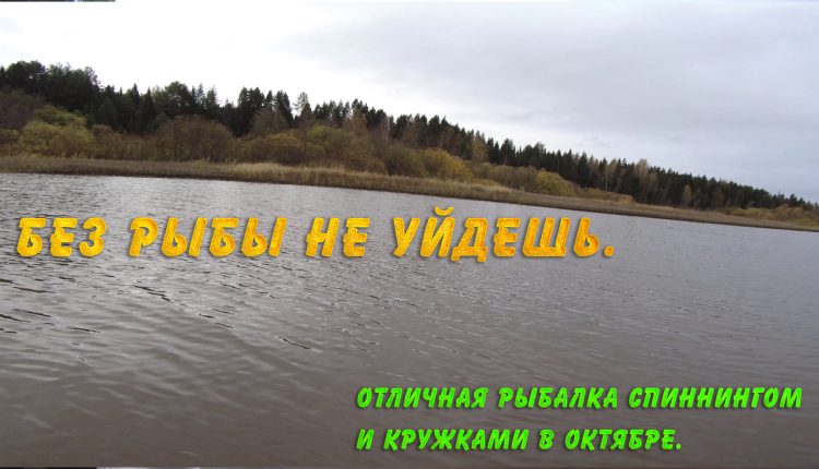 Отличная рыбалка спиннингом и кружками в октябре. Без рыбы не уйдешь