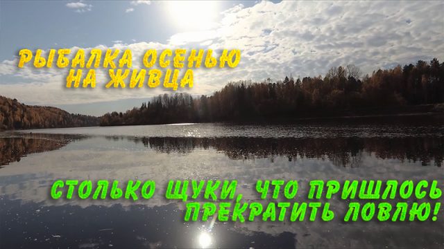 Столько щуки, что пришлось прекратить ловлю. Рыбалка осенью на живца Столько щуки, что пришлось прекратить ловлю. Рыбалка осенью на живца