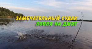 Замечательный судак. Ловля на джиг Рыбалка с лодки на джиг спиннингом летним вечером. Что может быть лучше таких тихих вечеров наедине с природой. А тут ещё и рыба проскакивает.