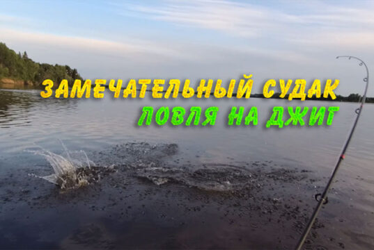 Замечательный судак. Ловля на джиг Рыбалка с лодки на джиг спиннингом летним вечером. Что может быть лучше таких тихих вечеров наедине с природой. А тут ещё и рыба проскакивает.