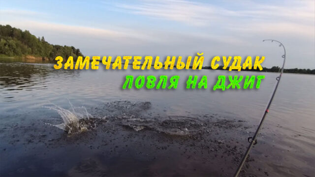 Рыбалка с лодки на джиг спиннингом летним вечером. Что может быть лучше таких тихих вечеров наедине с природой. А тут ещё и рыба проскакивает.